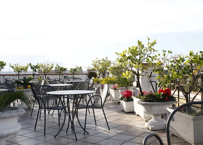 מלון The Major 4*